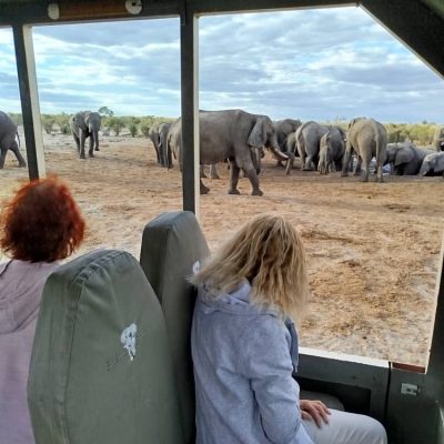 Roar-into-adventure-with-amarri-safaris-2