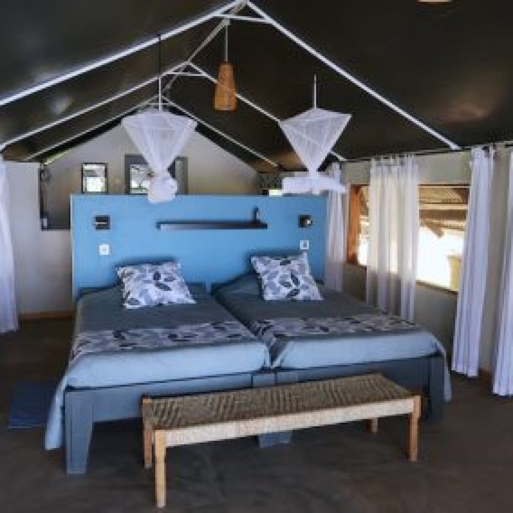 roar-into-adventure-with-amarri-safaris-13