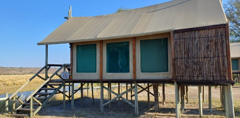roar-into-adventure-with-amarri-safaris-20