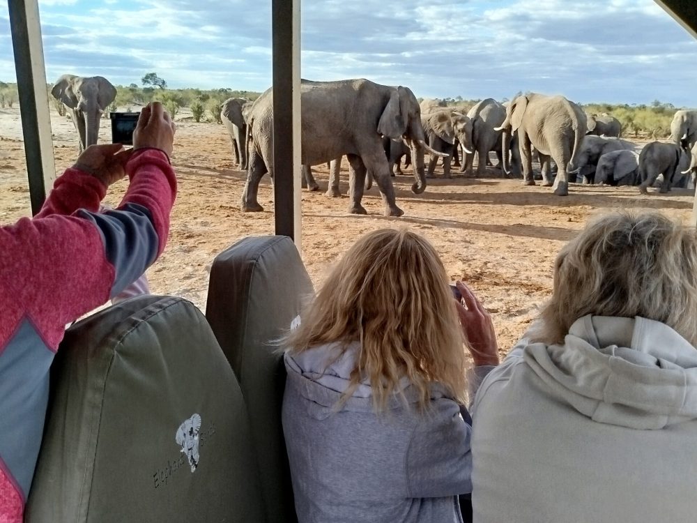 roar-into-adventure-with-amarri-safaris-22