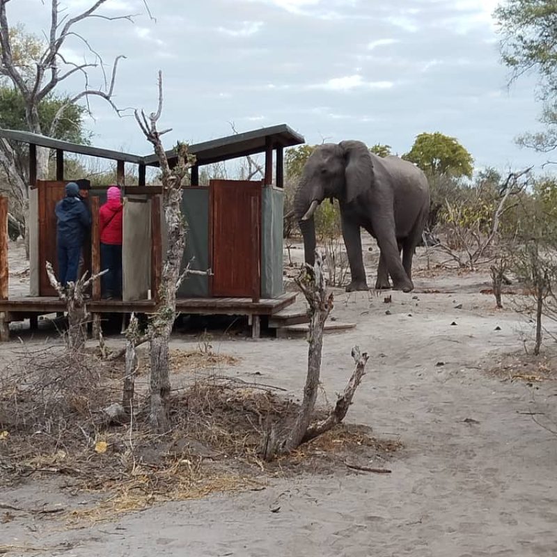 roar-into-adventure-with-amarri-safaris-24